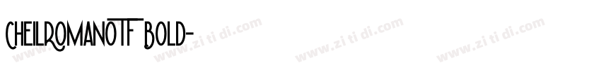 CheilRomanOTF Bold字体转换